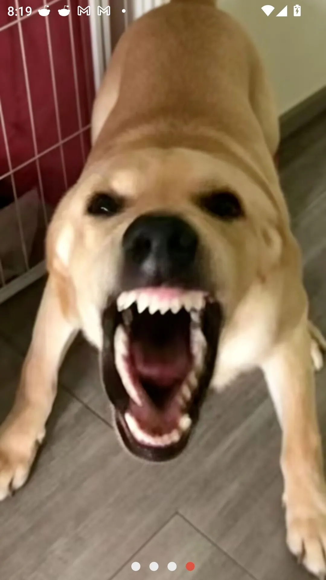 �󹷽���Ϸ������ư�v1.1 �ֻ����ͼ