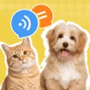 è�����ｻ������v1.0.2 ��׿��