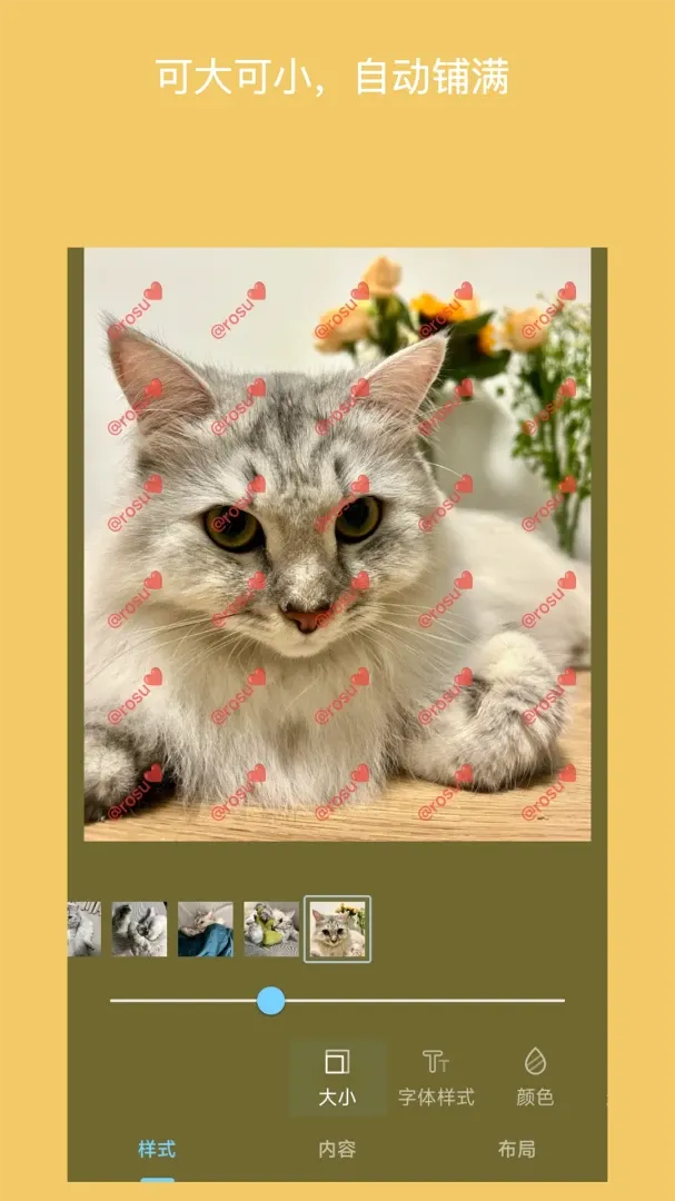 ��ˮӡ��Ƭv6.0705.7 ��׿���ͼ