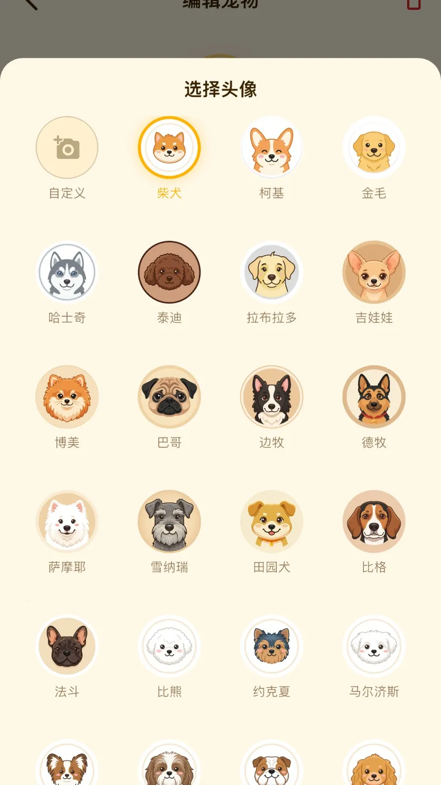 �����ܳ�APP2026���°汾v2.4.0 �ֻ����ͼ