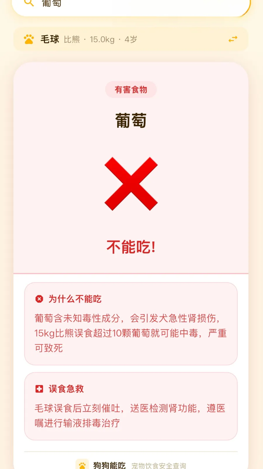 �����ܳ�APP2026���°汾v2.4.0 �ֻ����ͼ