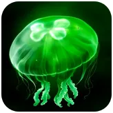 ��ˮĸeggjelly�����ֻ���v2.5 �ֻ���