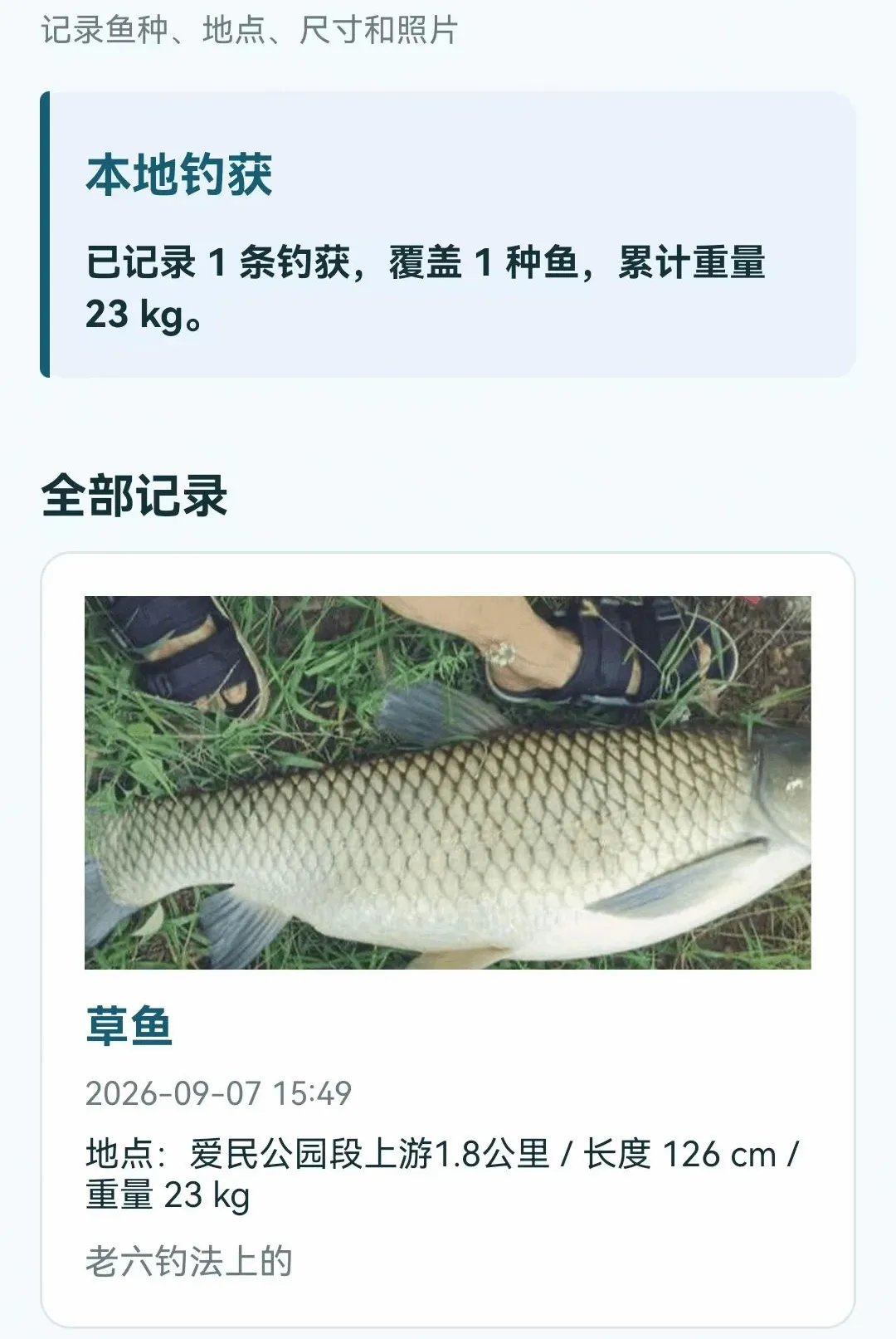 ���������鱨ָ��v1.0.0.4 �ֻ����ͼ