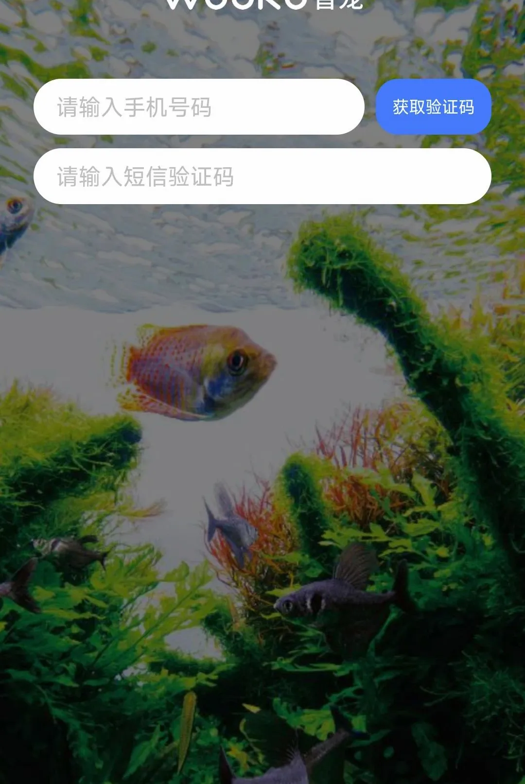 WOOKU�ǳ�v1.0.29 ��Ѱ��ͼ